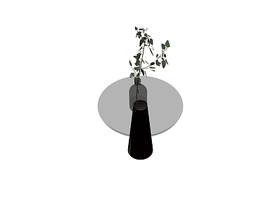 黑色锥形花瓶植物组合