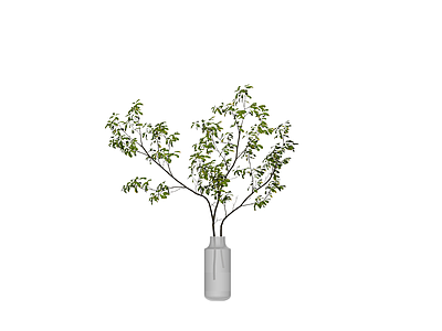 透明花瓶绿植组合