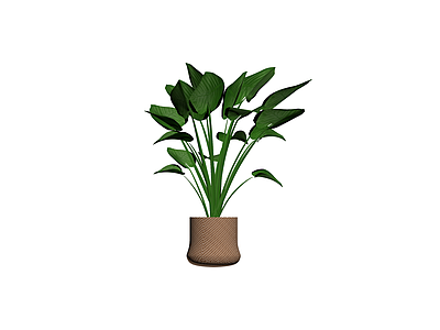 编织花盆绿植盆栽