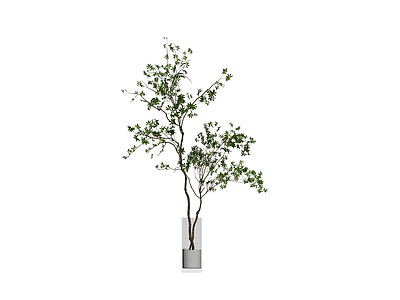 盆栽绿植模型