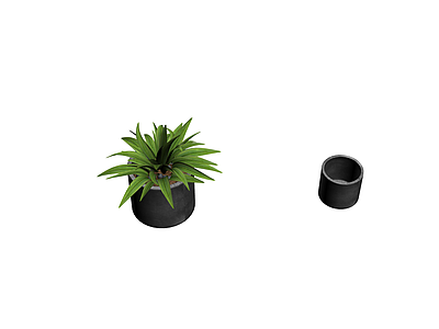 盆栽植物组合（带盆）