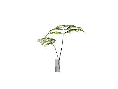 盆栽蕨类植物模型
