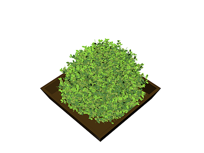 方形盆栽绿植组合