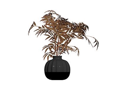 黑色花器与植物组合