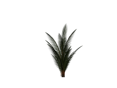 仿真棕榈植物模型