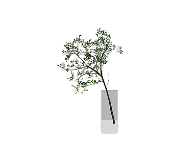 绿植盆栽模型