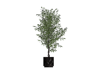 盆栽绿植模型