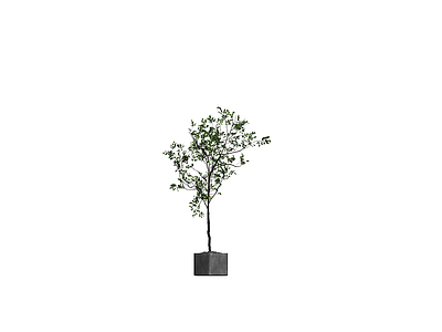 盆栽绿植景观模型