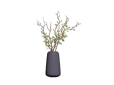 盆栽植物带花瓶