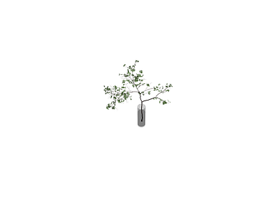 带玻璃花瓶的绿植盆栽