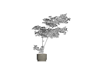 盆栽植物模型