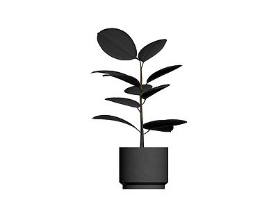 黑色花盆绿植盆栽