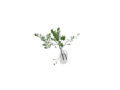 玻璃瓶插绿植盆栽