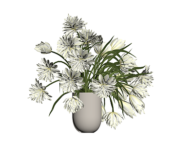 白花花束盆栽组合