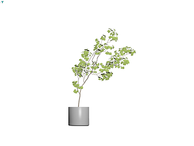 带盆绿植盆栽模型