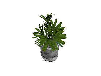 盆栽绿植带盆