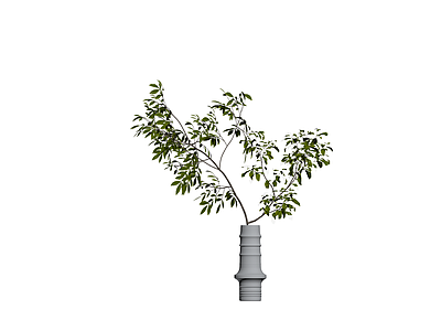 盆栽植物与花瓶组合