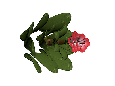 红色花卉植物模型