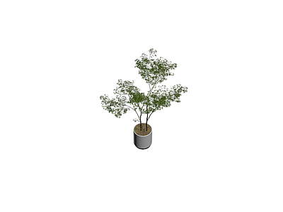盆栽绿植模型
