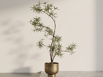 艺术绿植盆栽