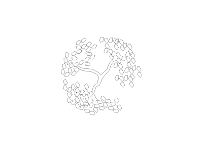 种植物平面图例 金合欢
