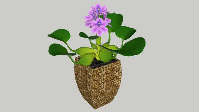 potplant _ 2 其他 植物 花瓶 花盆 灰蝶