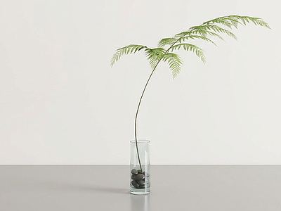 艺术绿植草本植物