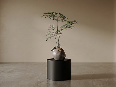 造型绿植盆栽