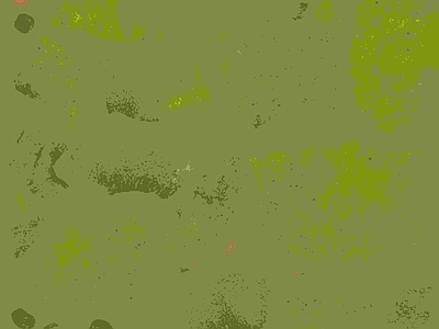 自然地面