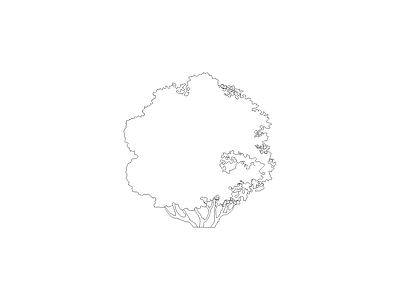 组团植物平立面图 灌木圆球形