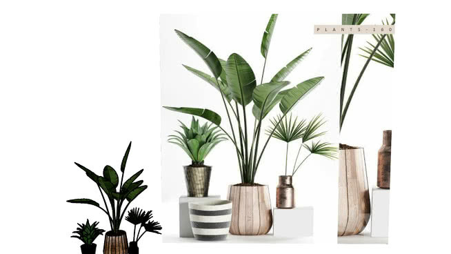 植物 花瓶 其他 画 植物 瓶子