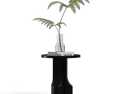 黑色支架植物装饰