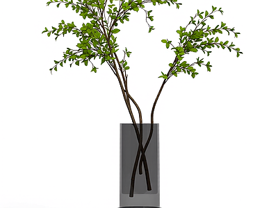 带瓶绿植盆栽
