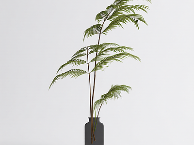带盆绿色植物模型
