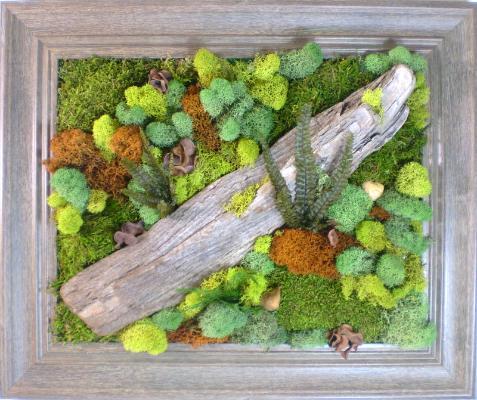 植物墙 贴图 自然元素