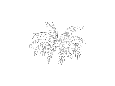 乔木种植 常用植物图例