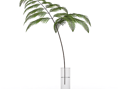 带盆绿植模型