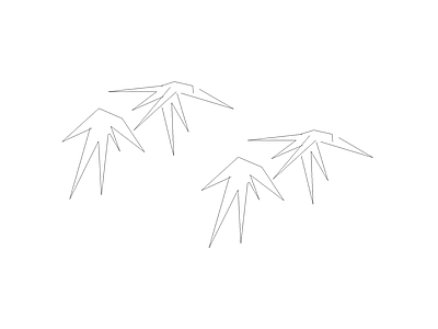 绿化苗木表分档 早竹