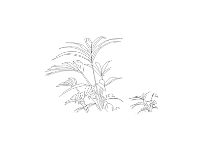 常用植物图例 小植物