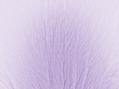 裂纹漆