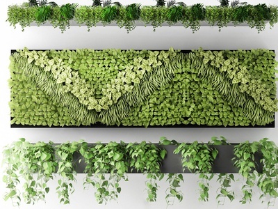 现代绿植墙