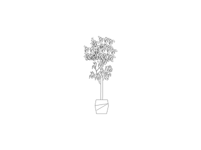种绿植盆栽图块 植物
