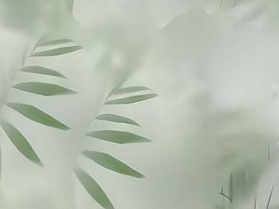 磨砂玻璃
