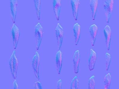 其他法线