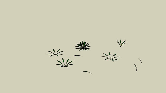 APC隐窝/爪哇 演出 画 其他 鸟