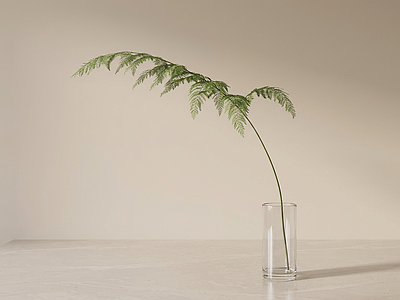 造型绿植草本植物