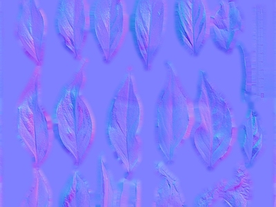其他法线
