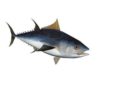 Thunfish