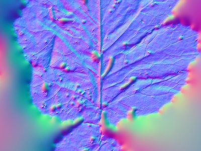 其他法线