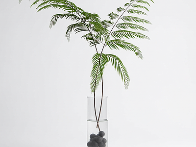盆栽植物装饰